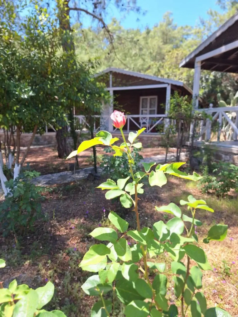 Отель Angels Garden