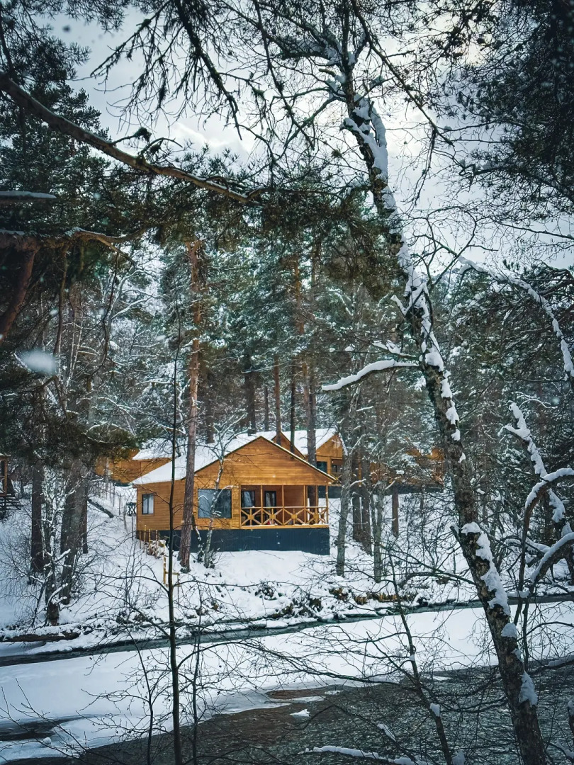 Шале Хвоя трехкомнатный люкс