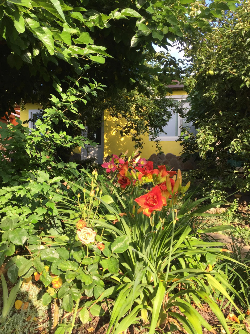 Гостевой дом Дом в саду