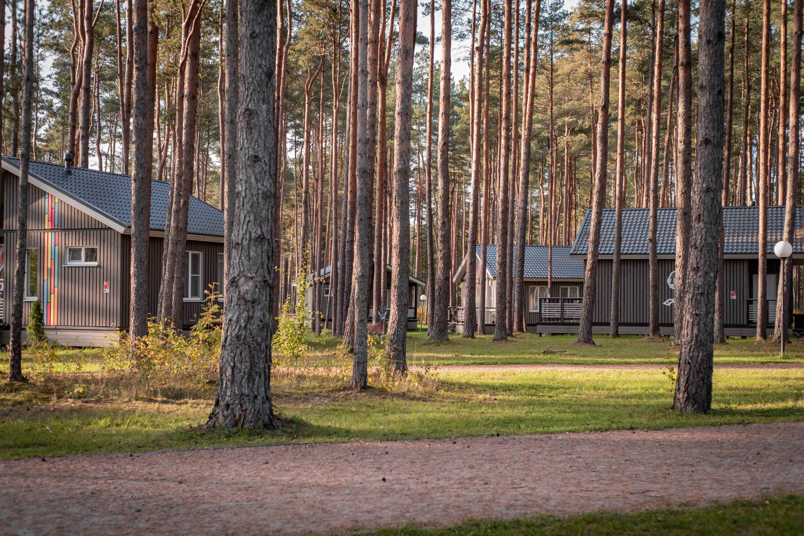 База отдыха Спортивно-туристический комплекс Раздолье