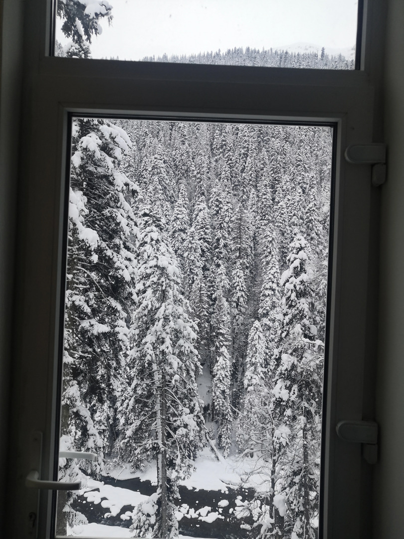 Гостиница Альпенхауз