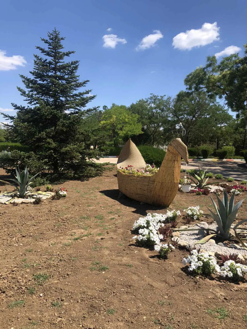 Санаторий Международный Детский Медицинский Центр Чайка