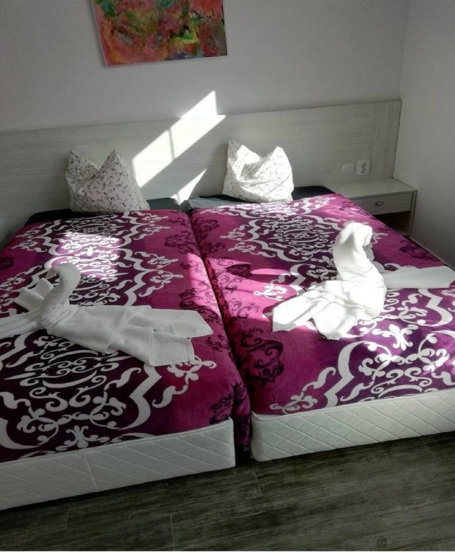 Sagittarius Eood Guest House