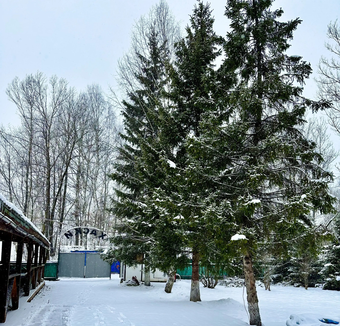 Гостевой дом Гостевой дом