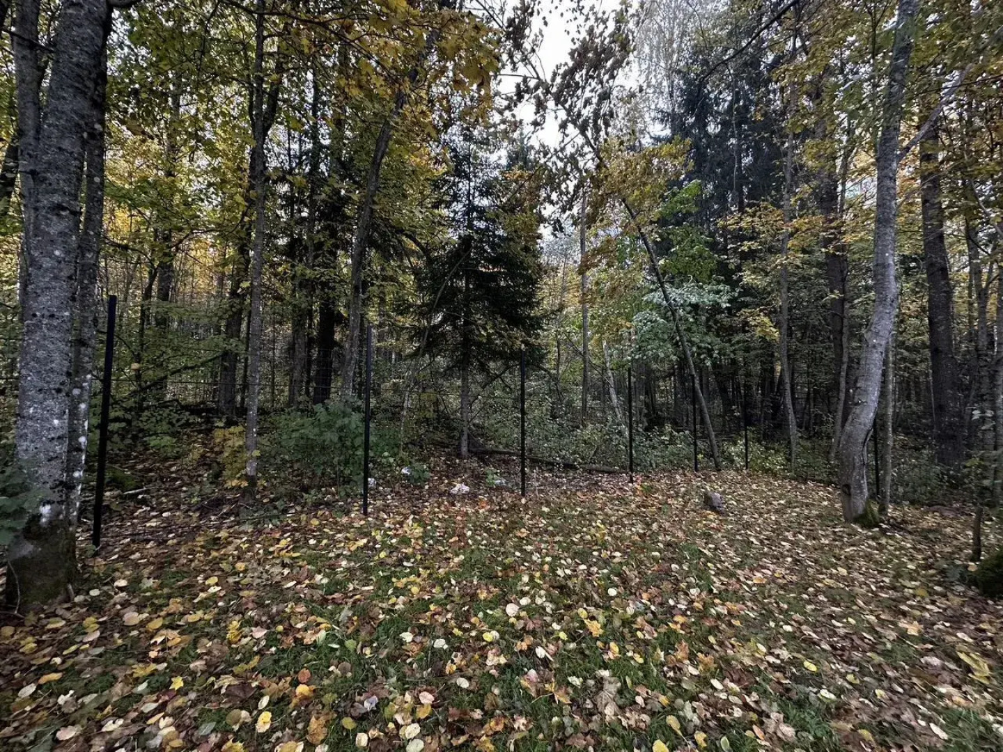 Квартира на улице Дубравной, 1