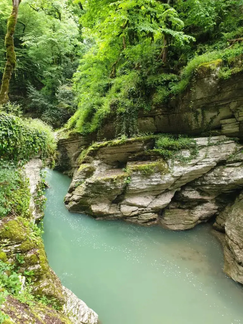 Квартира Курортный