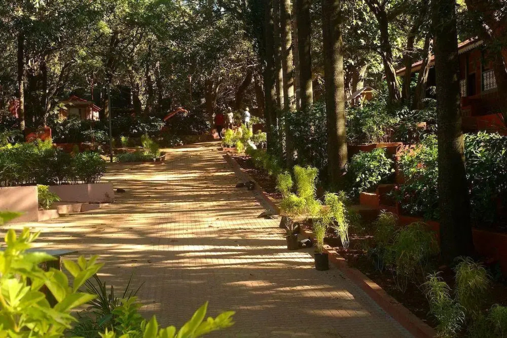 Отель The Byke Brightland Matharean