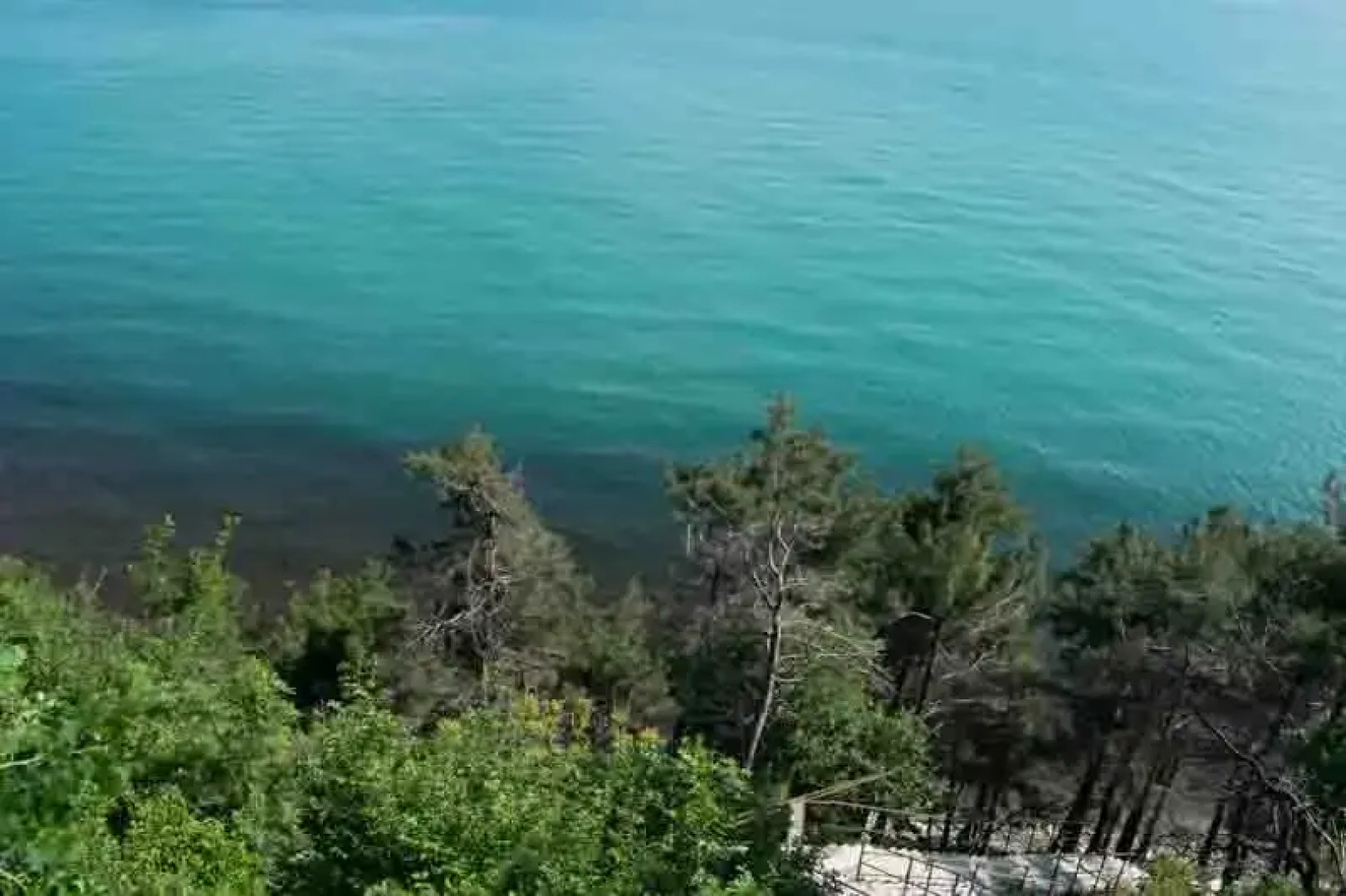 База Отдыха Парк Инал