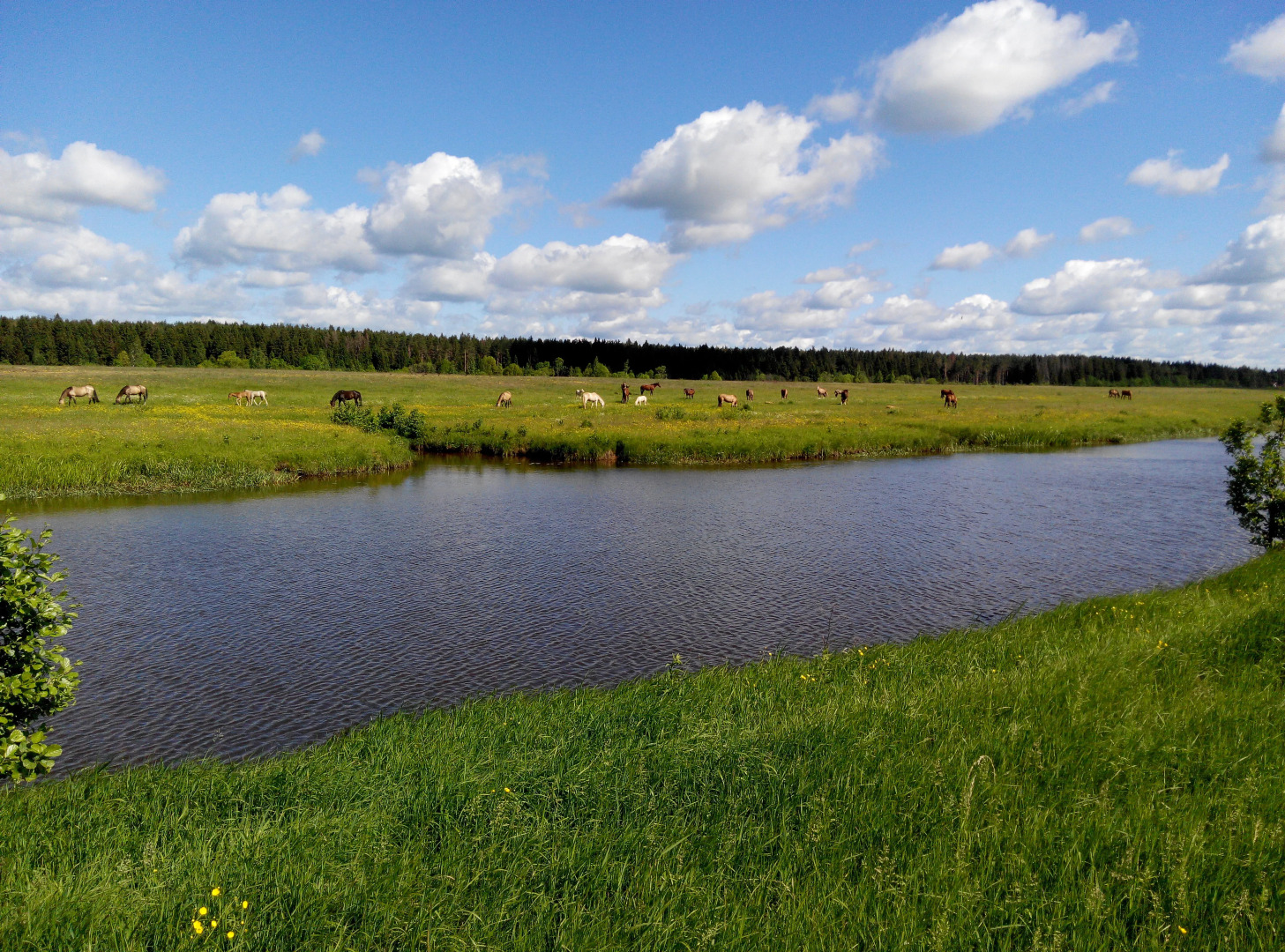 Гостевой Дом "На Волге!"