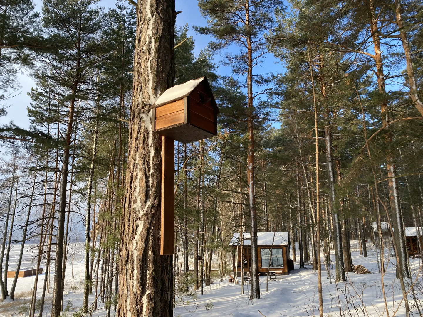 Глэмпинг Мыс