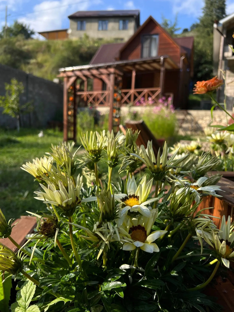 Гостевой дом Holiday Home