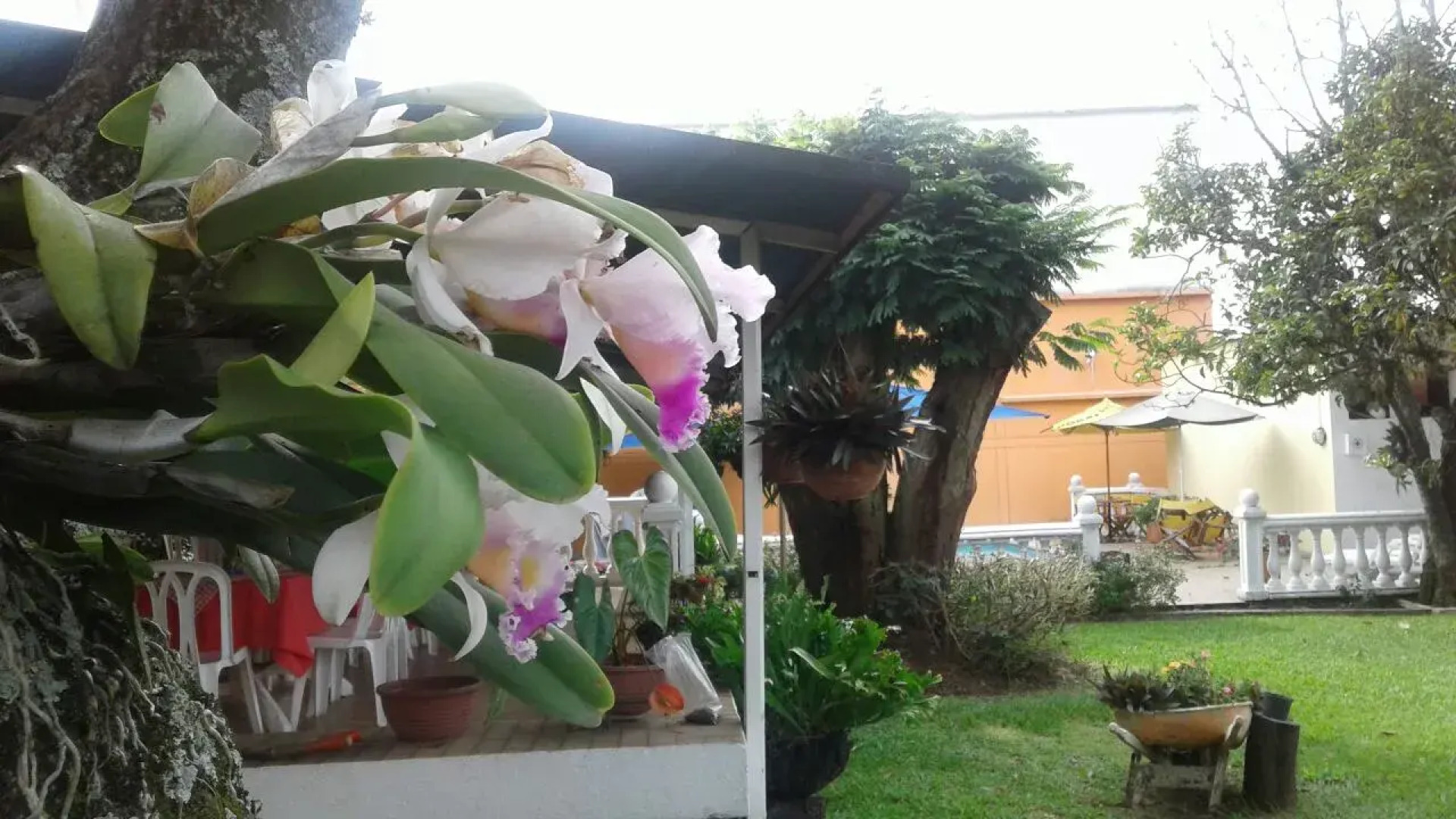 Апарт-Отель Jardin del Lago