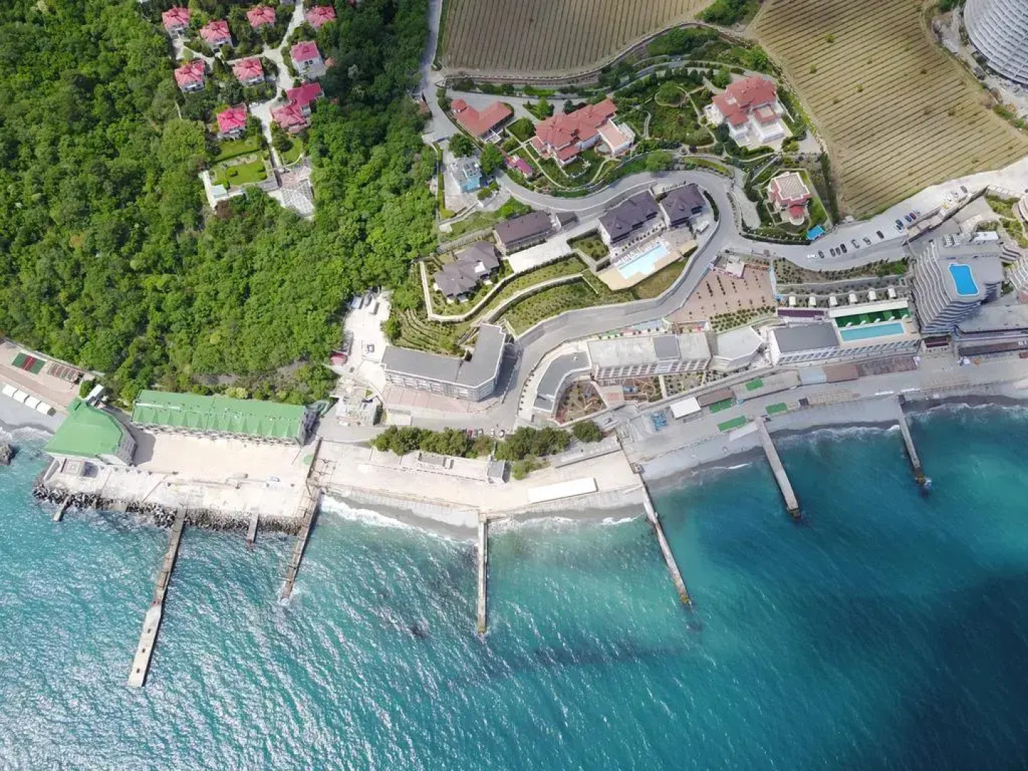 Апартаменты Дельфин 1