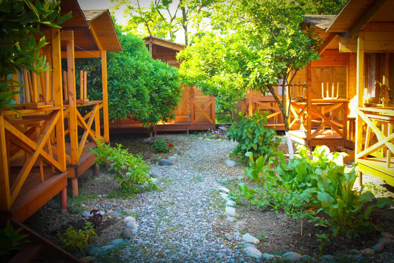 База отдыха Теремки