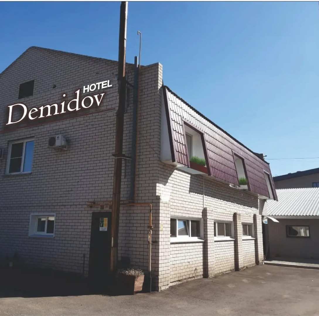 Отель Demidov