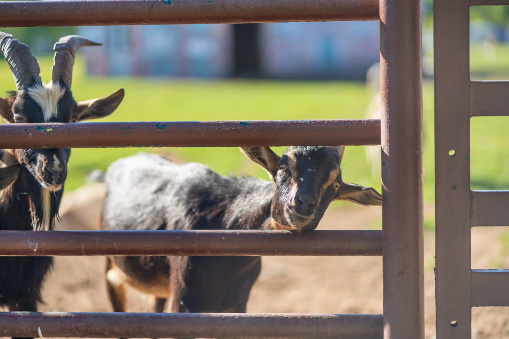 Отель Комплекc Загородного отдыха  Место 7