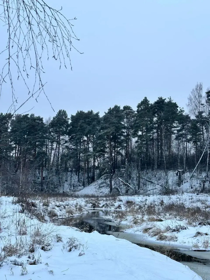 Гостевой дом Чудиново 33