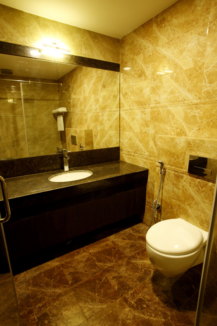 Отель Patliputra Continental