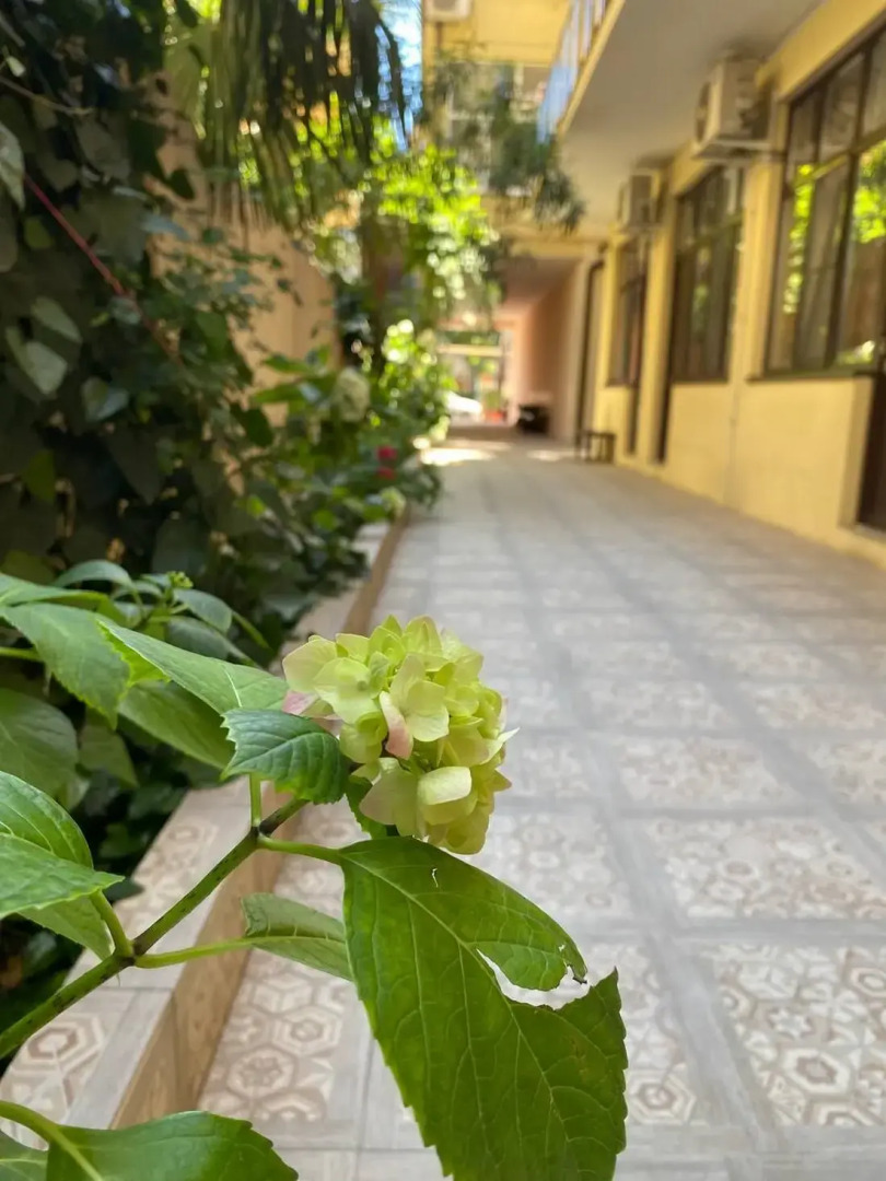 Гостевой дом Калараш 17А