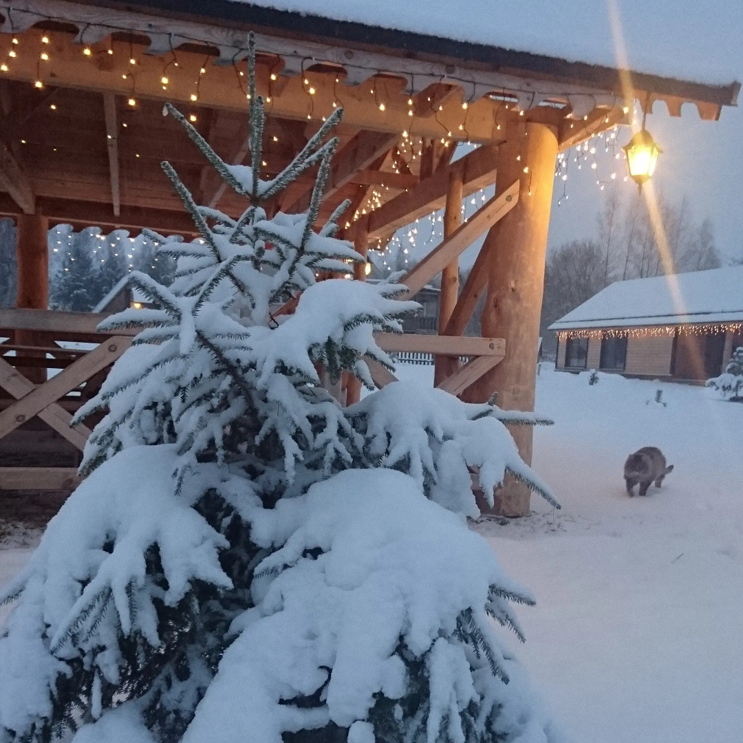 Апартаменты У лукоморья