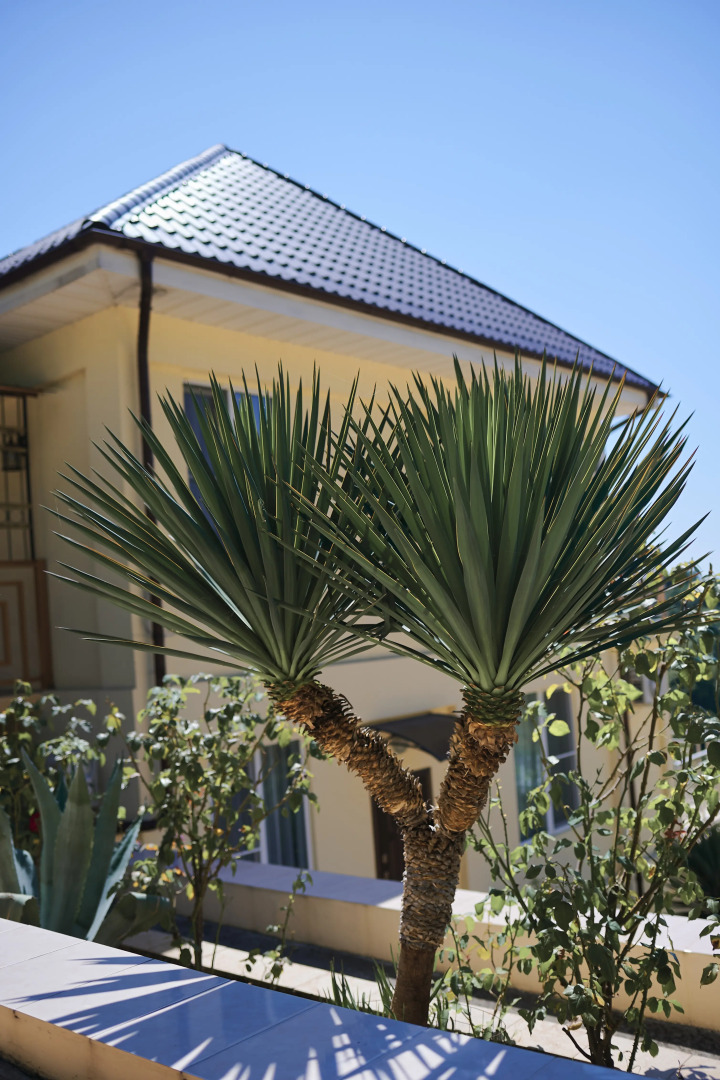 Апарт-Отель VillaRomano