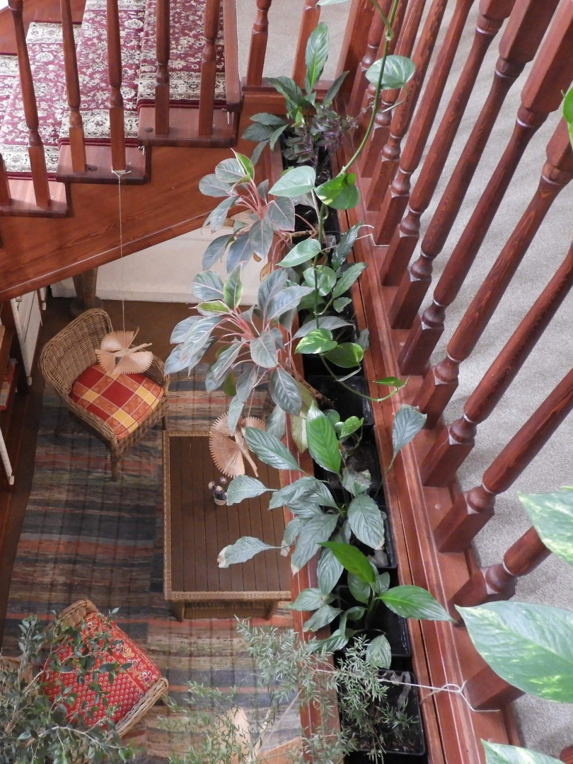 Гостевая Изба на Истре