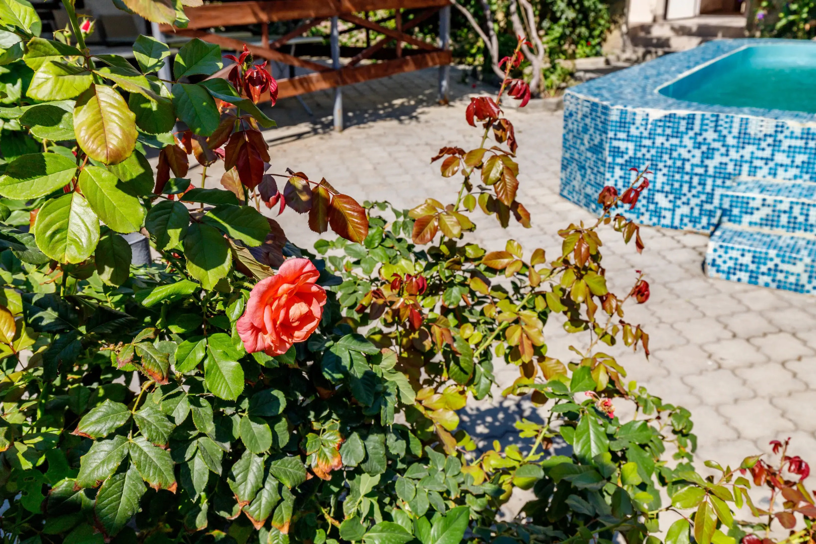 Гостевой дом Сашенька