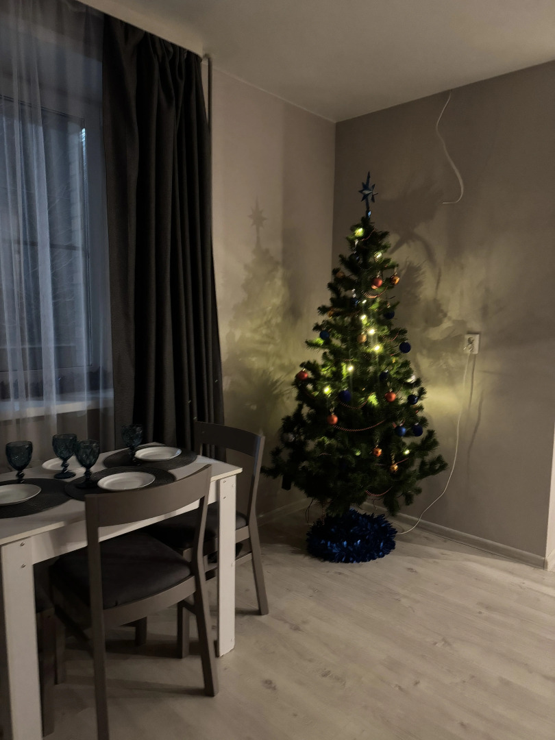 Квартира 1 комнатная квартира-студия с балконом для 4 гостей