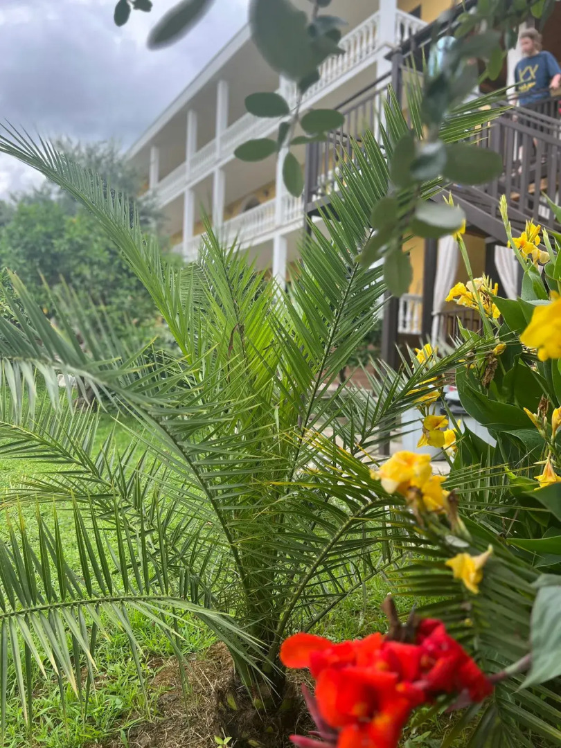 Мини-отель Мэри