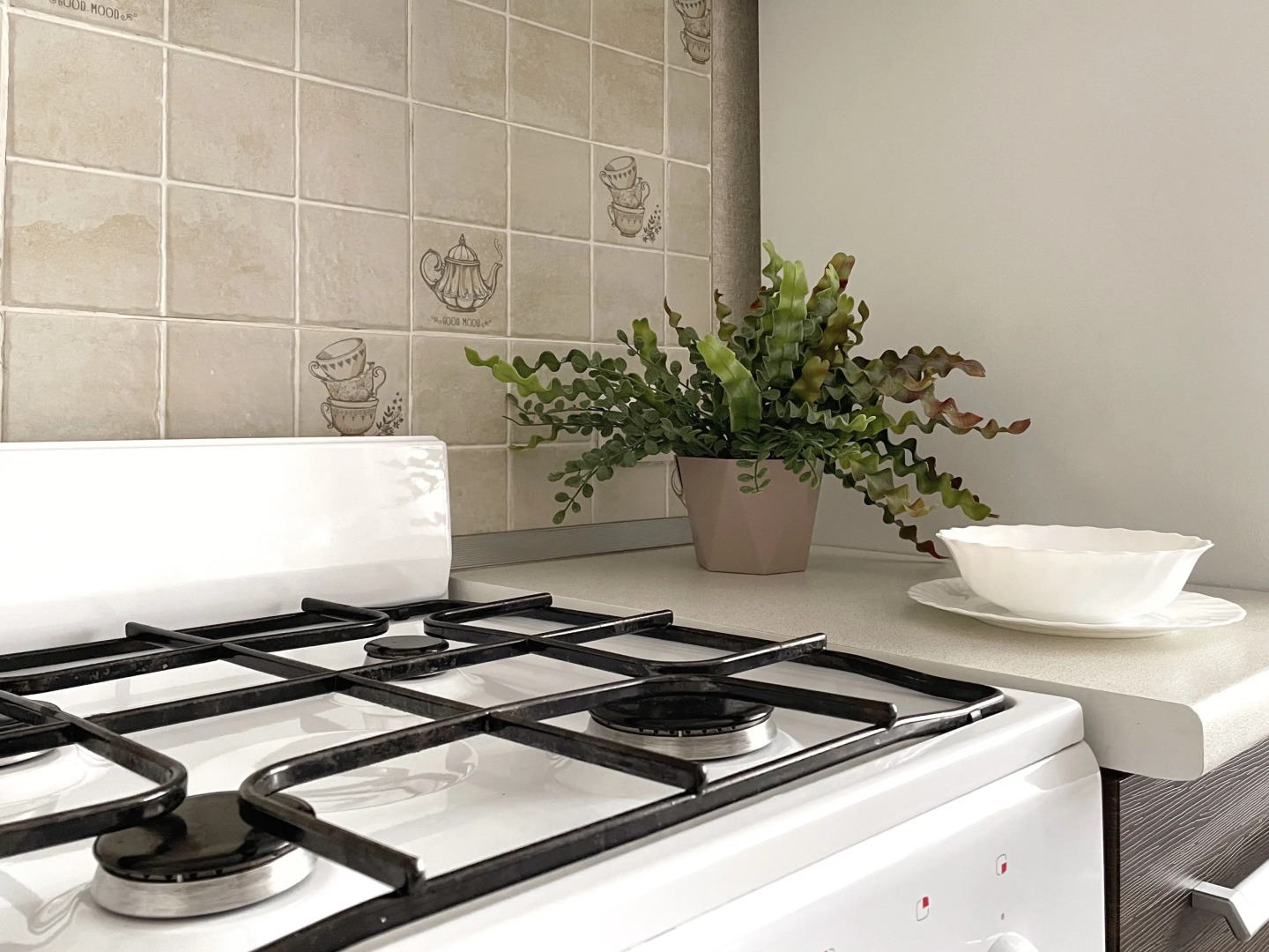 Двухкомнатные Апартаменты Люкс  на 9 человек в курортной зоне Ессентуков