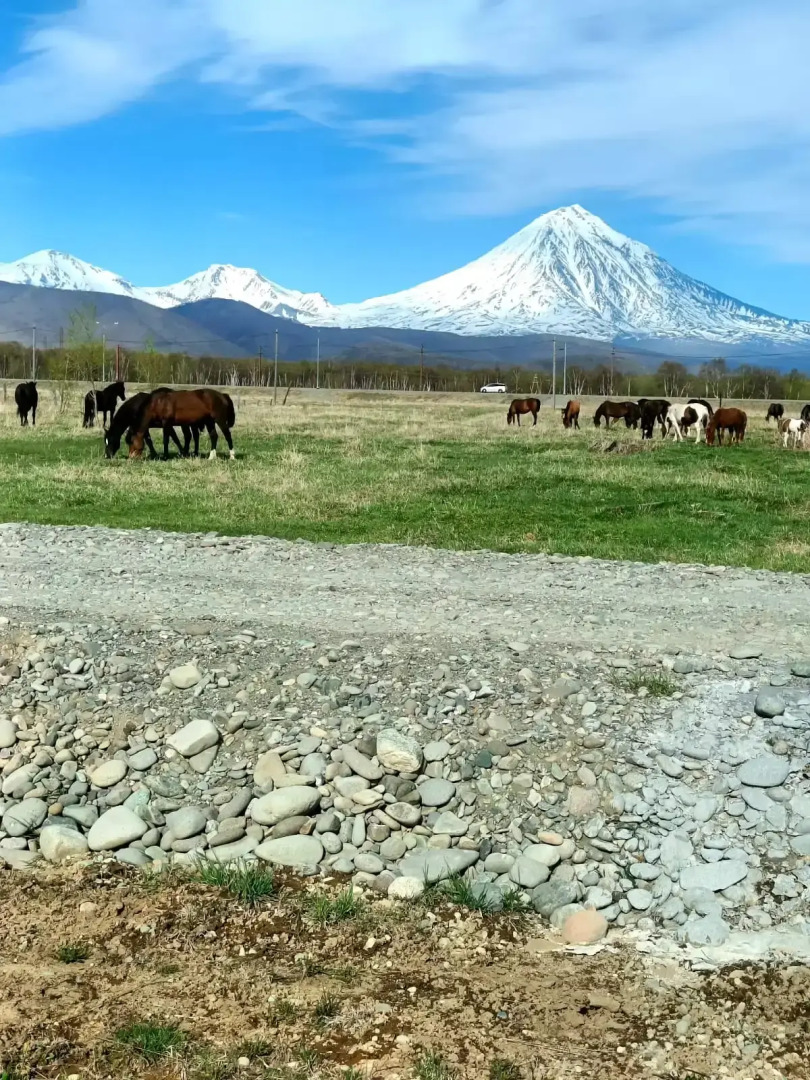 Частный дом Гостевой дом - Ферма