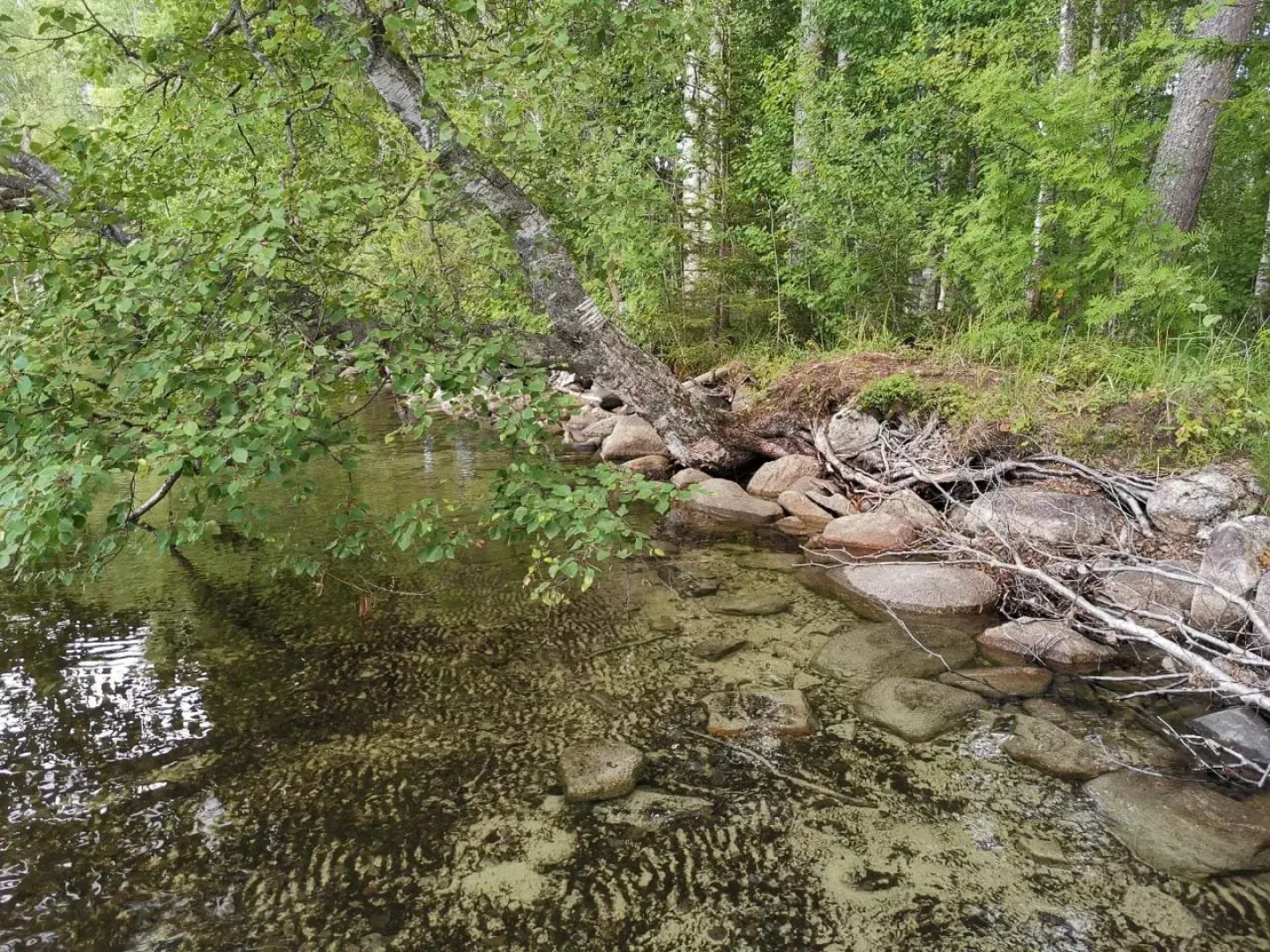 Частный дом на Онежской 4