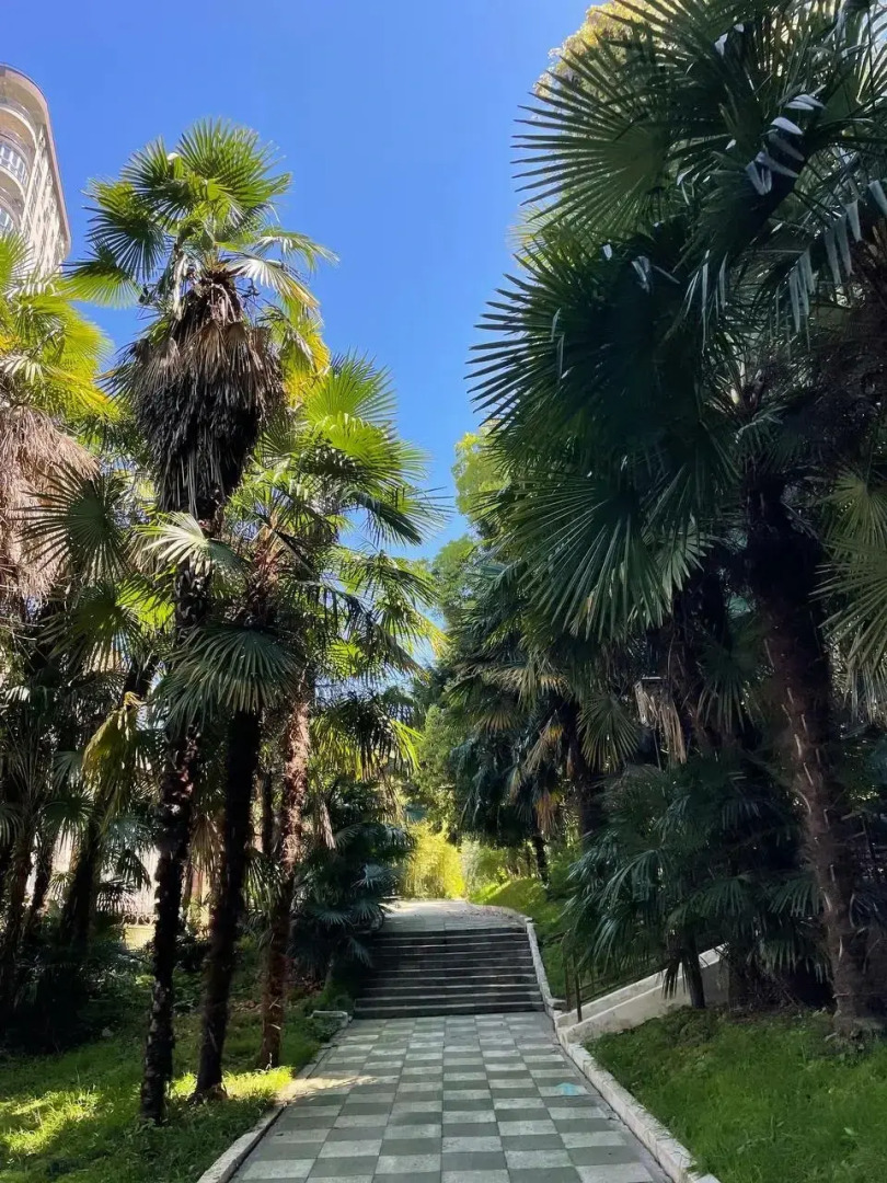 Пансионат с лечением Сокол