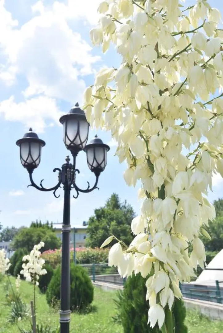 Санаторий Москва-Крым