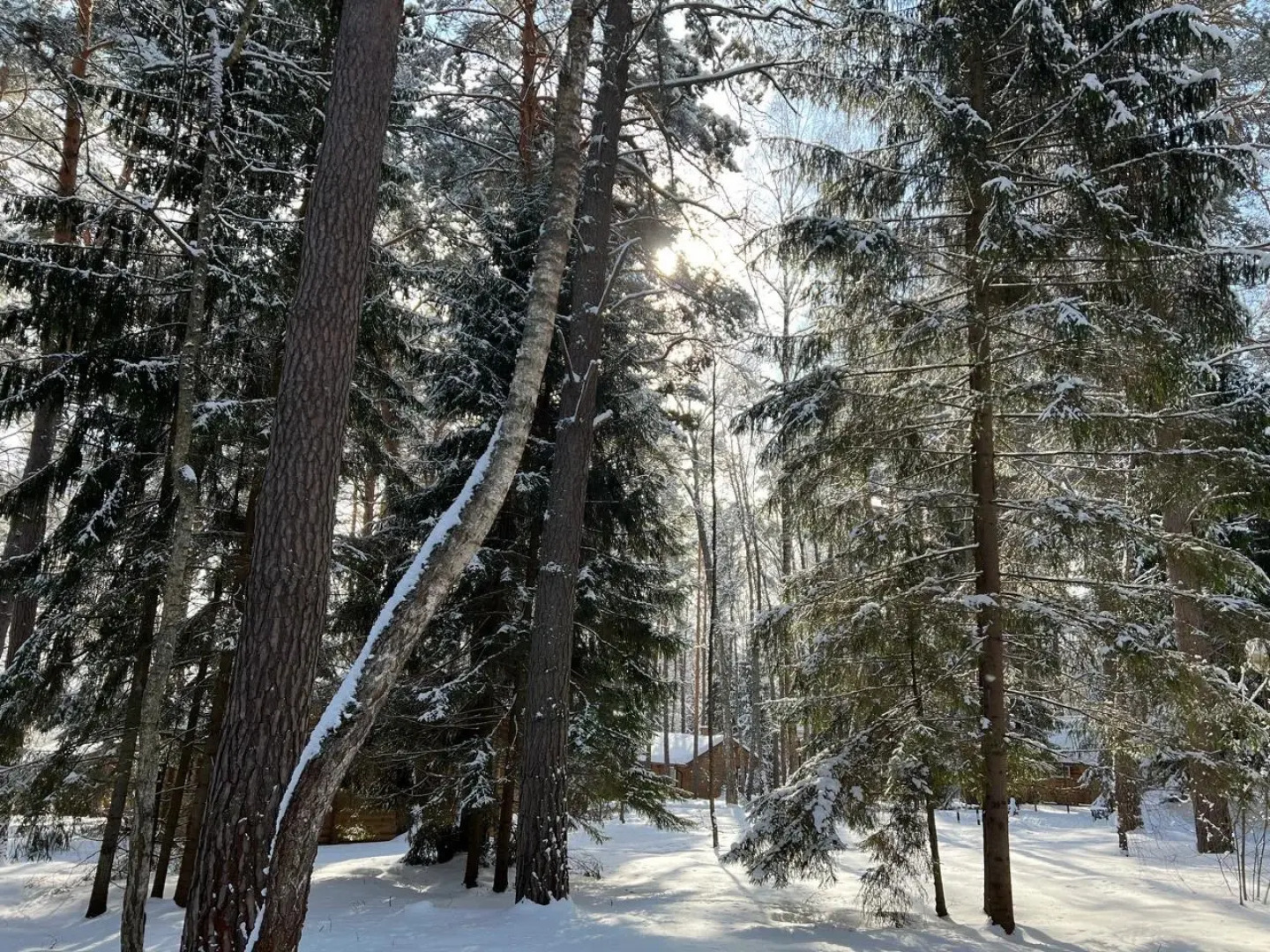 Отель Крутой яр