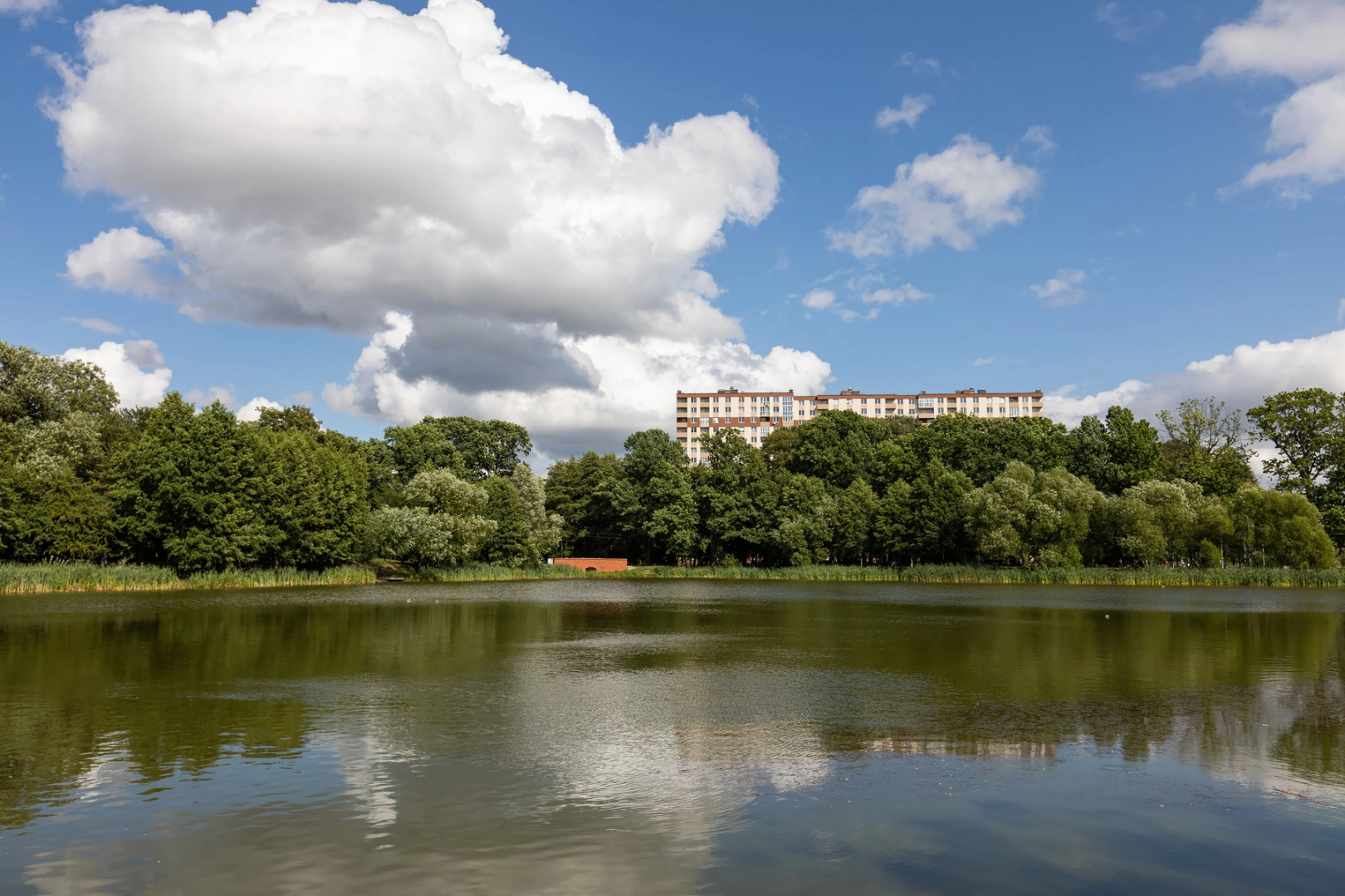 Квартира Harry Potter Калининград