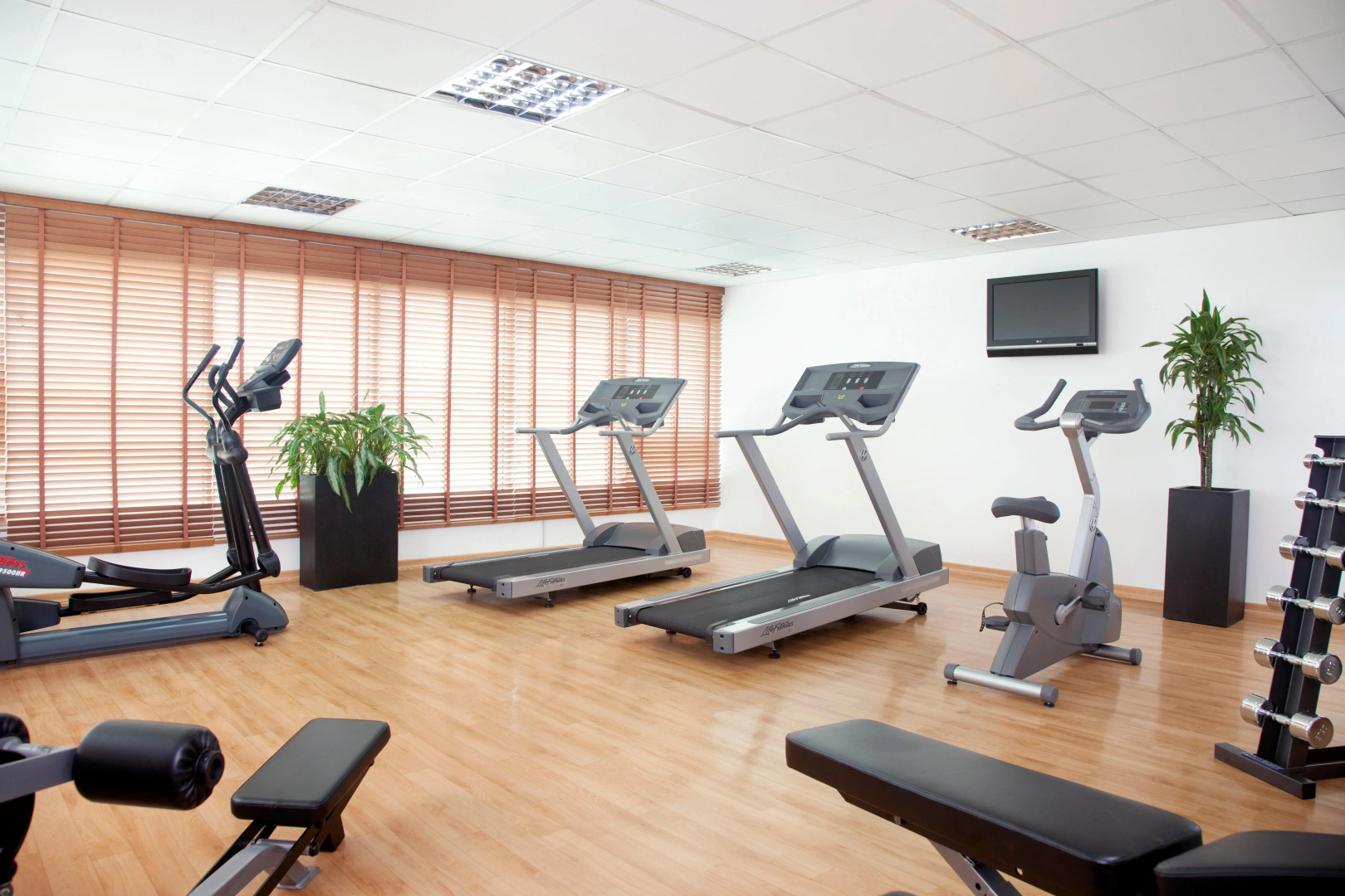 Holiday Inn Express Dubai - Safa Park, an IHG Hotel