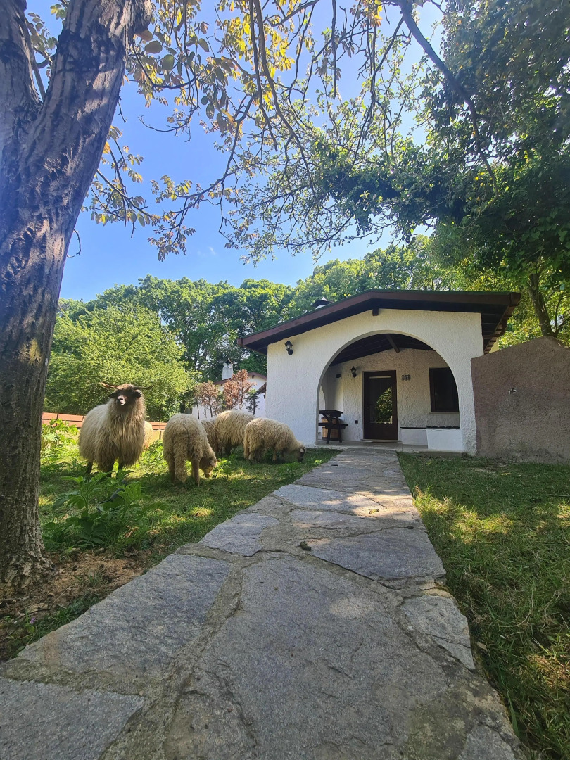 Polonezköy Country Club & Accommodation in the Wildlife Park