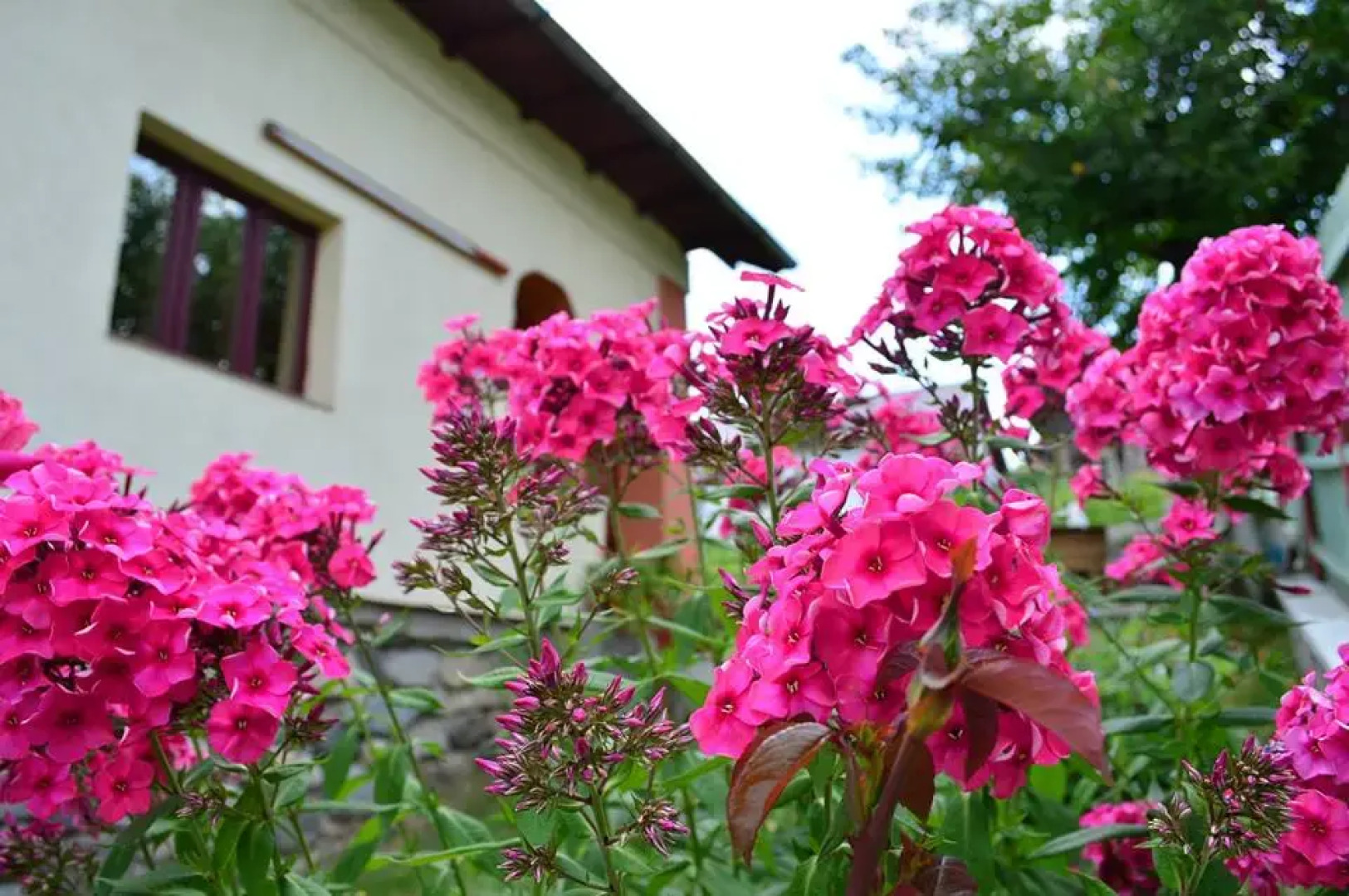 Гостевой дом Belvedere La Cristina