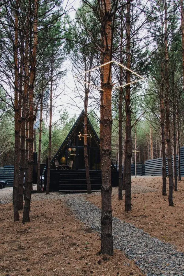 Частный дом Хвоя Темный