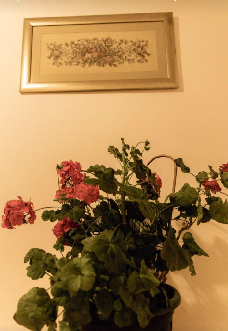 Гостевой дом Домашний пансион Понка Хаус