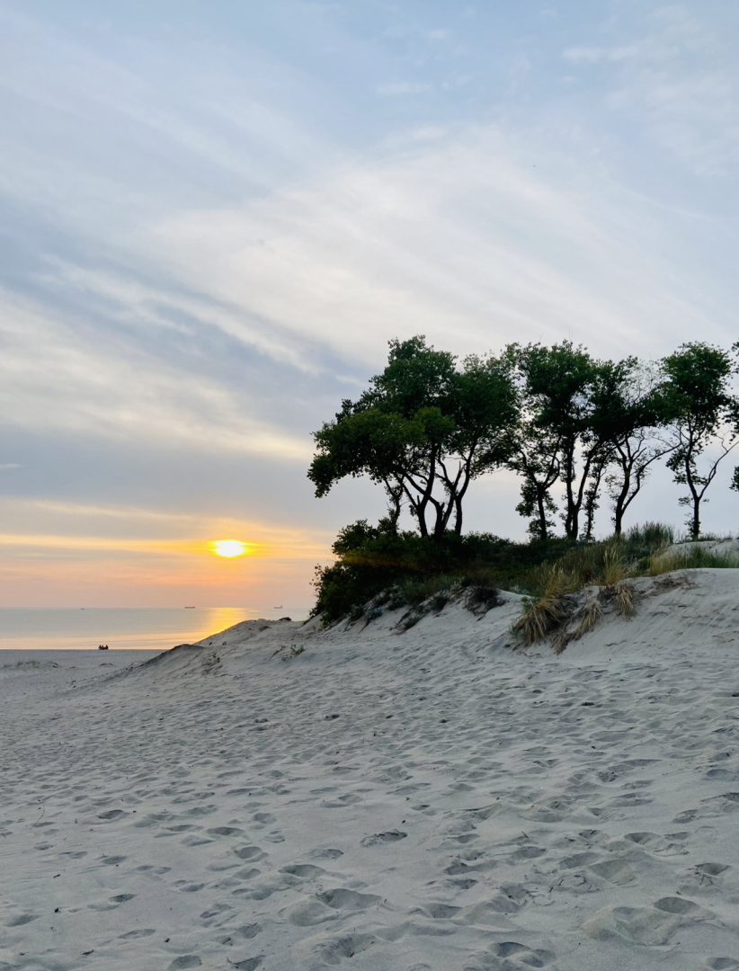 Апартаменты MAX