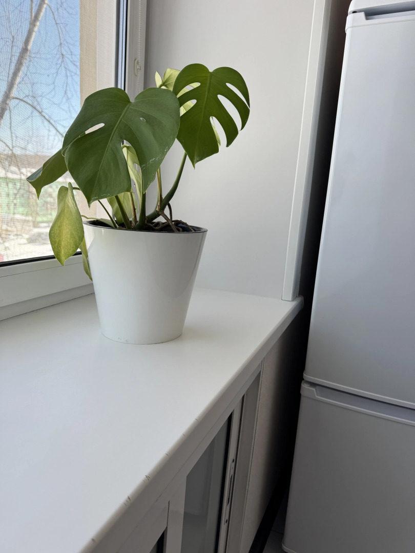 Квартира Центральная