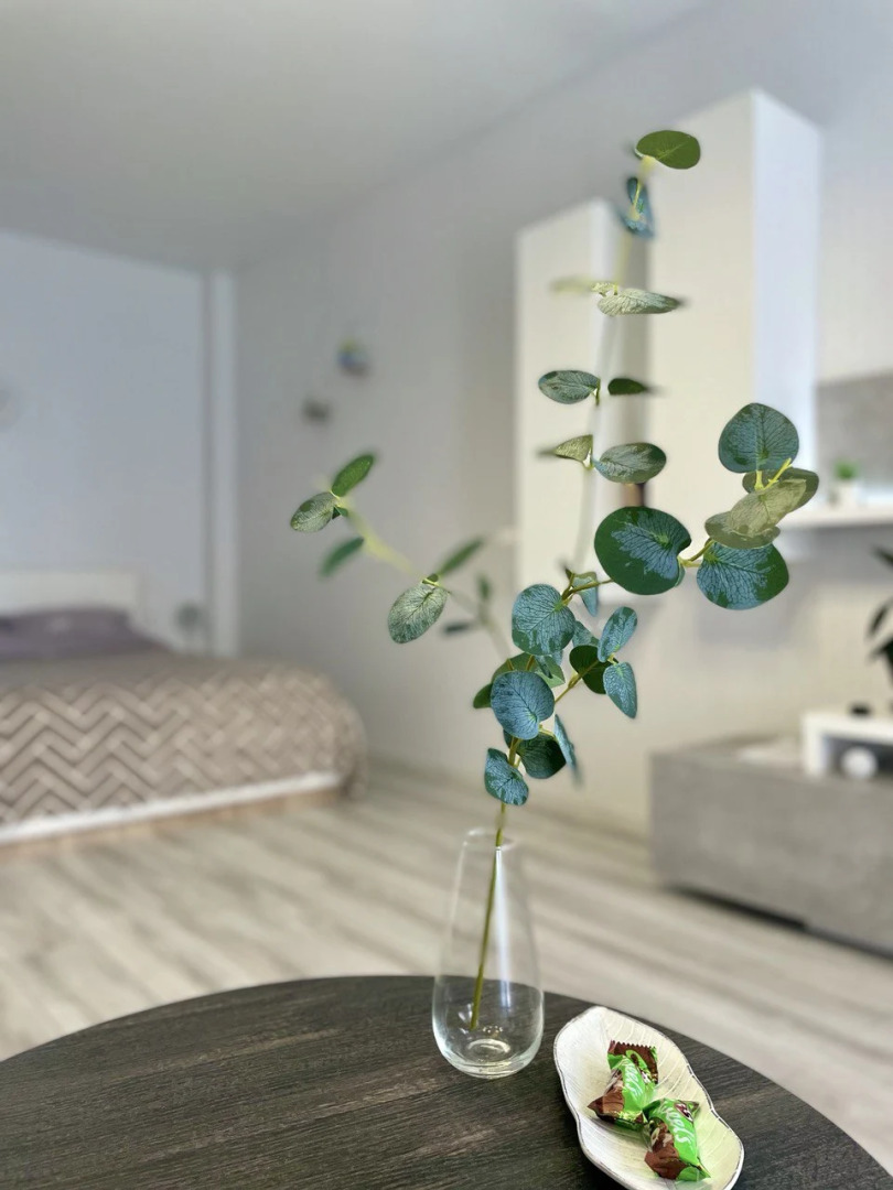 Квартира уютная Dream Apart  с современным ремонтом