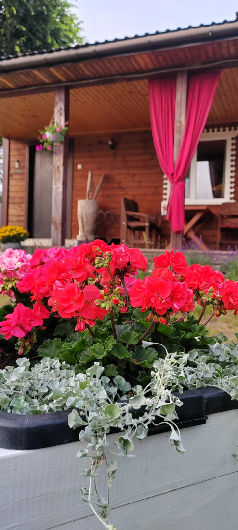 Гостевой Дом Усадьба Деревенский рай