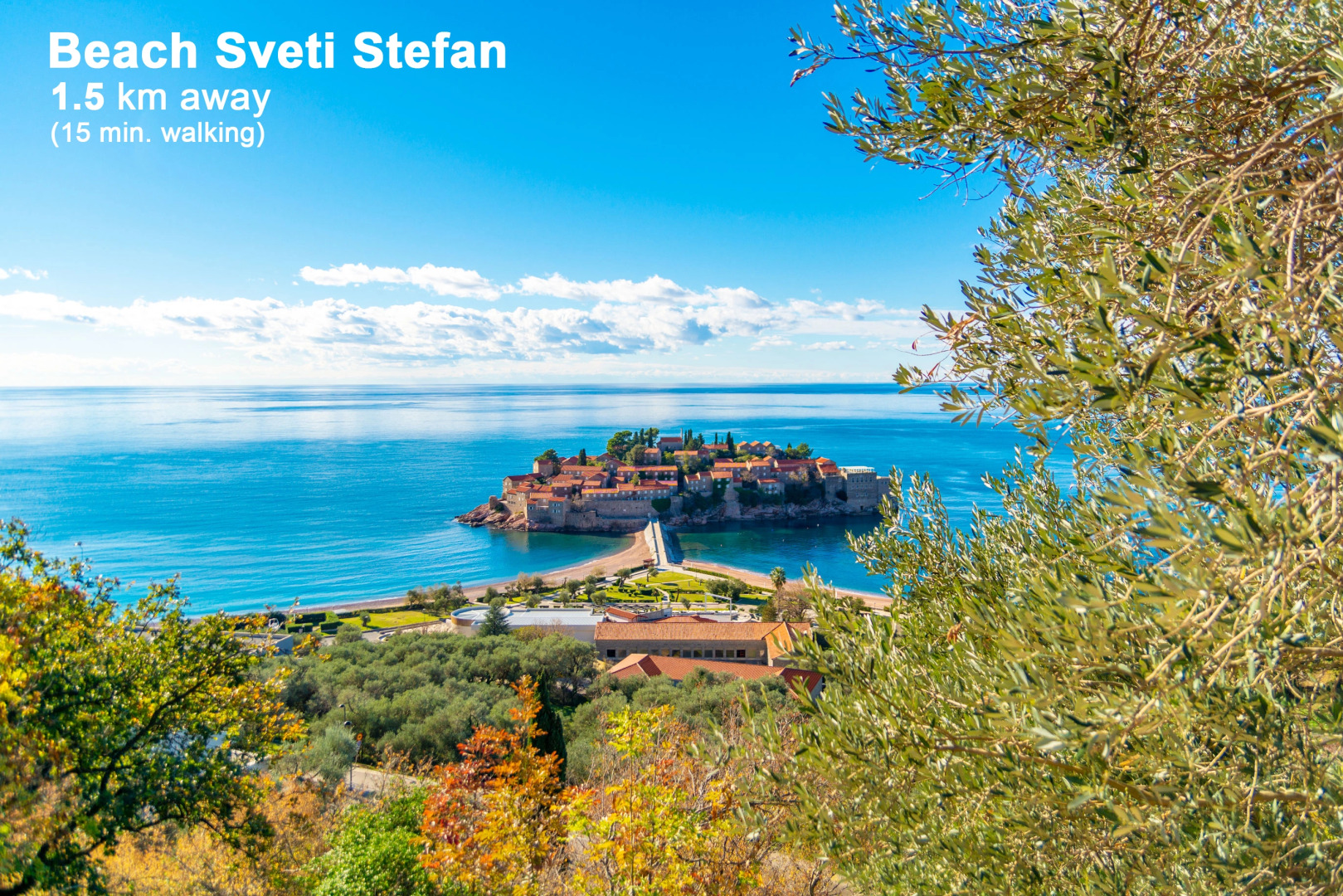 Апартаменты My Przno