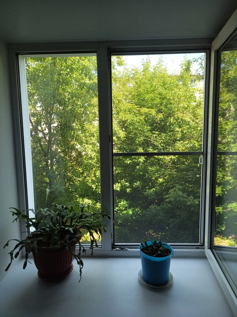 Квартира студия