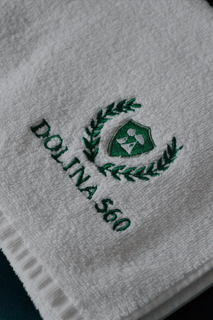 Гостевой Дом Dolina 560