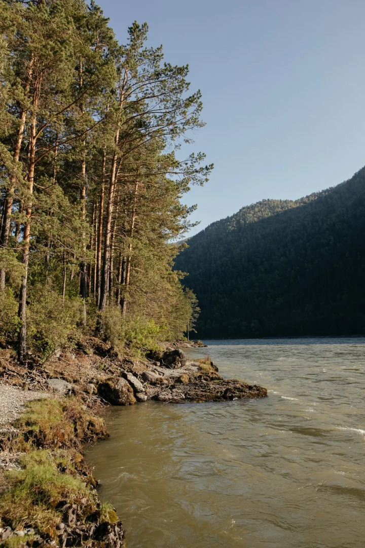 База отдыха Алтерия