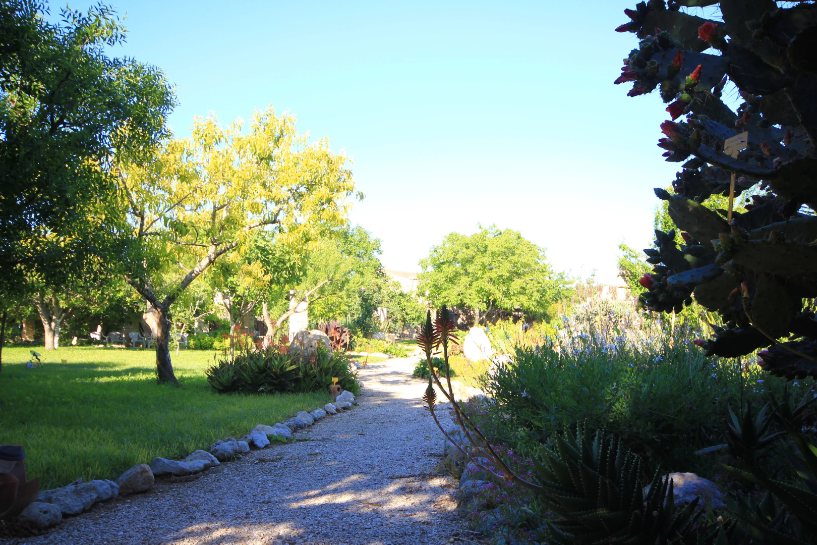 Гостевой дом Villa Diana